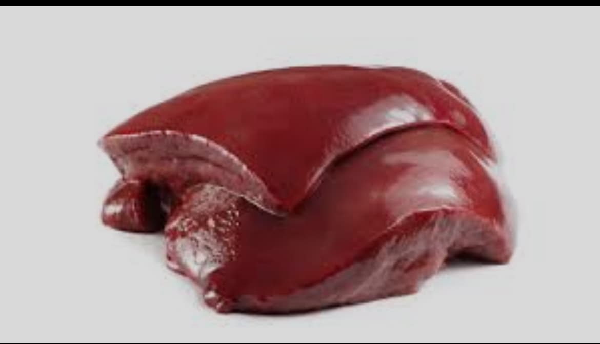 Liver
